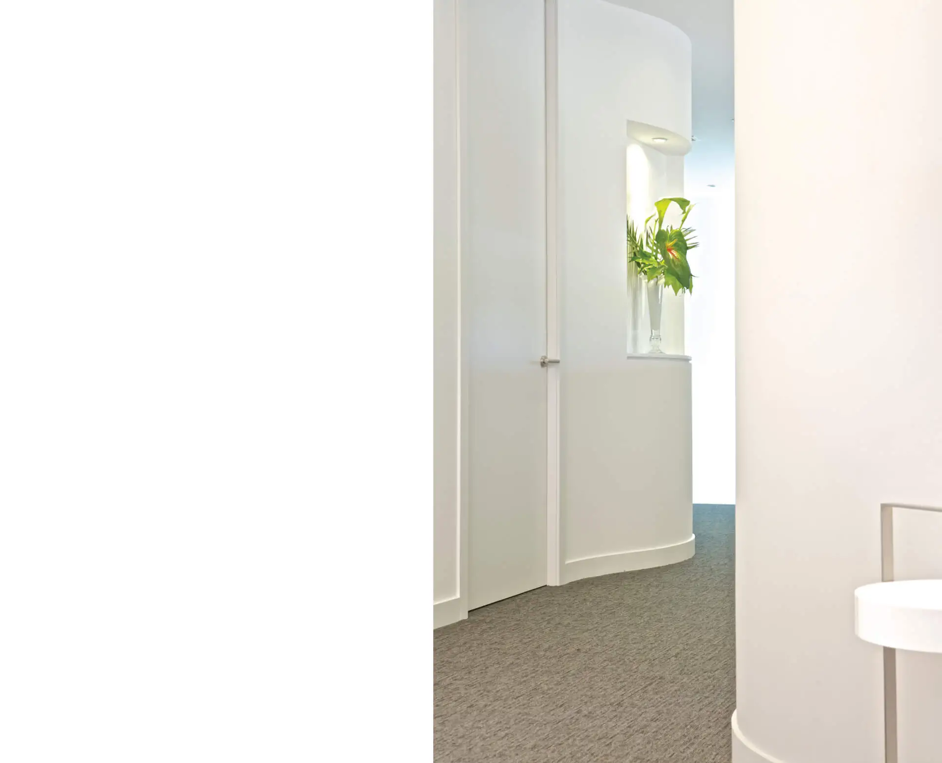 Minimalist dental practice design with a sleek white hallway featuring curved walls, spotlighted vase with green foliage, and seamless surfaces. Designed by healthcare architect for a modern medical aesthetic in a specialist dental setting. This project was designed by NVDC healthcare and dental practice design specialists Glasgow.